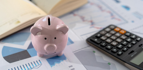 Wall Mural - businessman working using a calculator finance accounting concept achievement to balance man assistant accounting