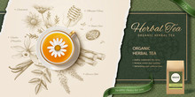 Engraving Style Herbal Tea Ads