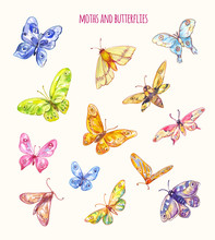 Different Moths And Butterflies In Watercolor Style. Vector Flying Wings