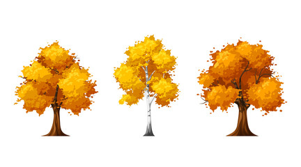 Wall Mural - Vector set of autumn deciduous trees isolated on a white background.