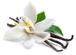 Dried vanilla sticks and orchid vanilla flower isolated on white background.