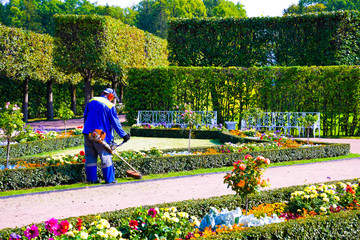 Professional garden care service. Gardener trimming lawn with lawn mower in city park. Seasonal hard work