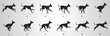 Great Dane Dog Run cycle animation sequence