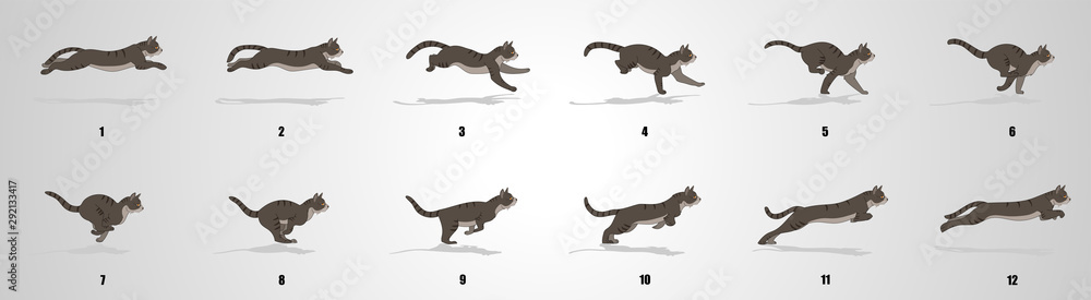 Cat Run cycle animation sequence Stock Vector | Adobe Stock