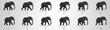 Elephant run cycle animation sequence