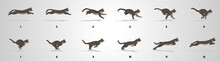 Cat Run Cycle Animation Sequence