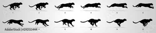 Fotografía Cheetah run cycle animation sequence