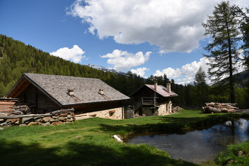 Wall Mural - chalet montagna trentino 