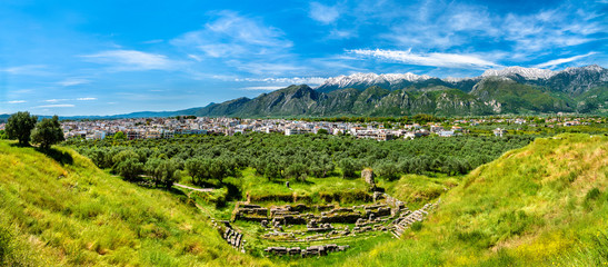 Canvas Print - Ruins of Ancient Sparta in Greece