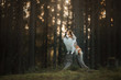 © Anna Averianova - red dog in the woods. Fluffy sheltie in nature