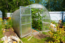 Open Door Greenhouse With Cucumbers In Russian Countryside In Summer