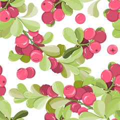 Wall Mural - Seamless pattern of cranberry