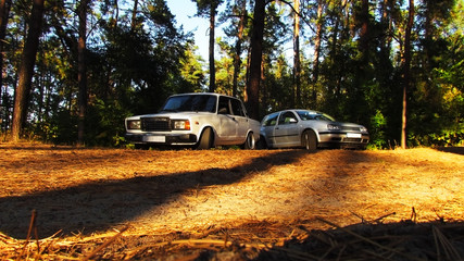 two cars in the forest