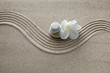 Spa concept. Flower and stones on sand