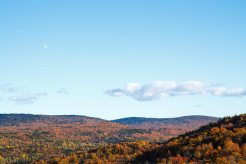 autumn in the mountains. colorful leaves colors of fall season