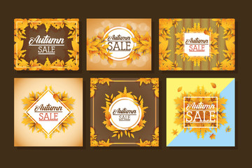 bundle of autumn sale seasonal labels