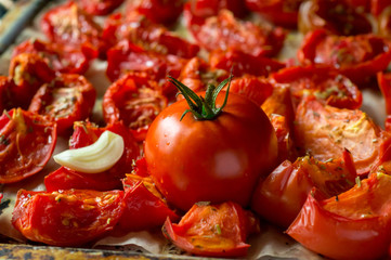 Sun-dried, ripe, red tomatoes lie on a baking sheet, among them lies a red, fresh tomato close-up.