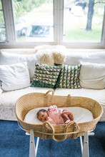 Newborn Baby In Cradle