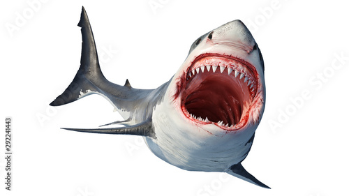Fotografía White shark marine predator big open mouth and teeth