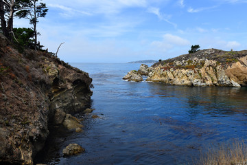 Wall Mural - sea and rocks