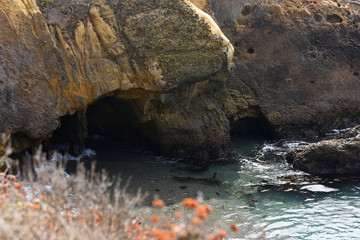 Wall Mural - sea and rocks