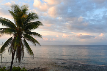 Wall Mural - sunrise clouds 