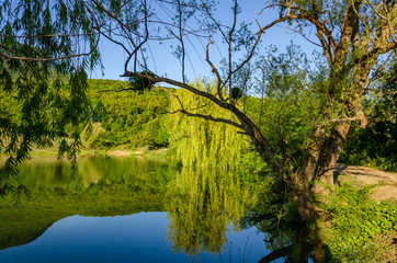 A lake in the mountains surrounded by green trees in summer.