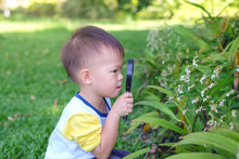 Cute Curious Little Asian 2 - 3 Years Old Toddler Boy Kid Exploring Environment By Looking Through A Magnifying Glass In Sunny Day At Beautiful Garden, Kid First Experience & Discovery Concept