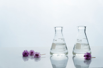 Wall Mural - two flask with water and round pink small flower in cosmetic science white laboratory background