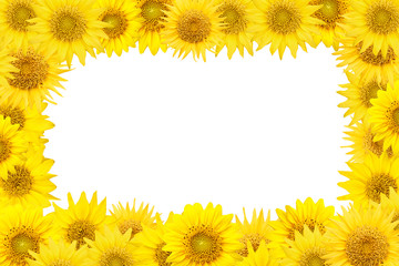 Wall Mural - yellow sunflowers frame isolated on white background