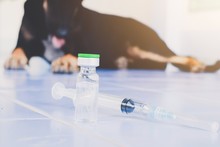 Vaccine Rabies Bottle And Syringe Needle Hypodermic Injection,Immunization Rabies And Dog Animal Diseases,Medical Concept With Dog Blurred Background.Selective Focus Vaccine Vial