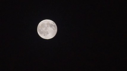 beautiful night with clear sky and full moon in nature. zoom close up shot.