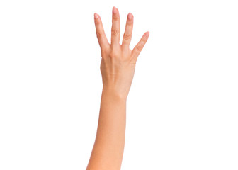 Wall Mural - Female hand showing 4 fingers gesture, isolated on white background. Beautiful hand of woman with copy space. Hand doing gesture of number Four. Series of photos count from 1 to 5.