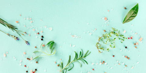 Wall Mural - A panorama of culinary herbs and spices, shot from the top on a teal blue background with a place for text and logo