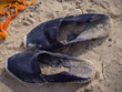 foot on the beach