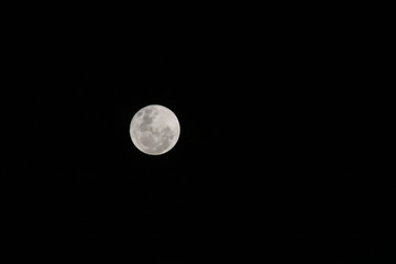 white moon