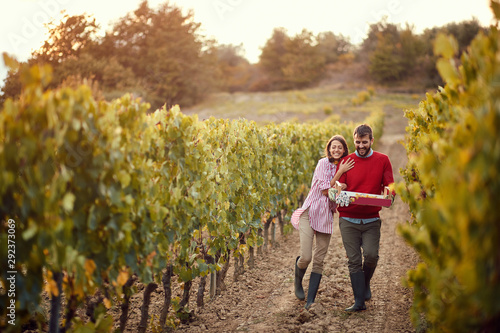 Photo Autumn vineyards