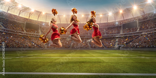 Fotomural Group of cheerleaders in action on the professional stadium