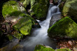 Wasserfall Natur Moos grün Bach