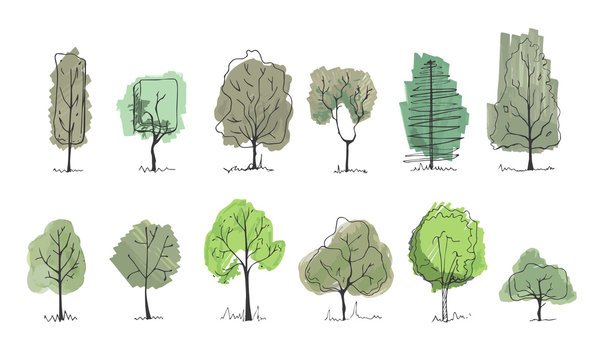 drawing trees for landscape design. vector illustration, hand drawn. set of tree sketches isolated o