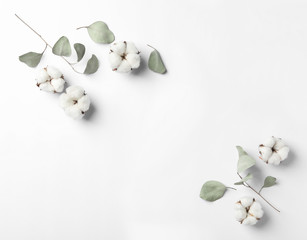 Wall Mural - Composition with cotton flowers on white background, top view. Space for text