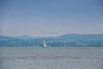 Sailboats with white sails on the lake