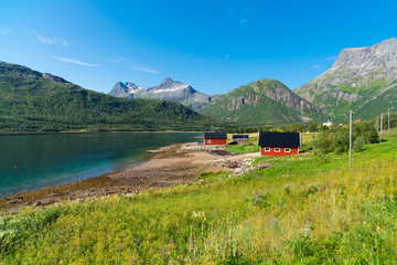 Wall Mural - traditional norwegian houses