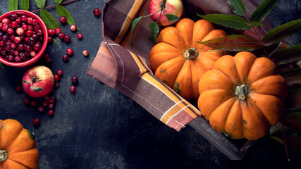 Wall Mural - Autumn composition with pumpkins