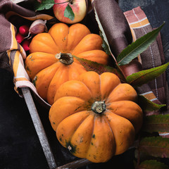 Canvas Print - Autumn composition with pumpkins