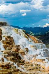 Wall Mural - Mammoth Hot Springs, Yellowstone National Park