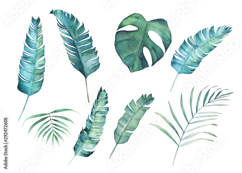 Watercolor leaves set. Hand drawn illustration.