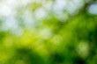 © Ton Photographer4289 - Green bokeh on nature abstract blur background green bokeh from tree