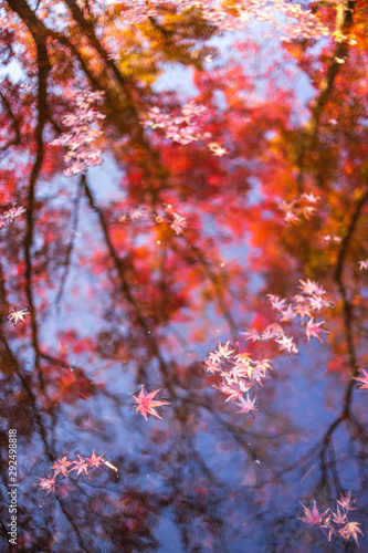 水面と紅葉 秋イメージ Stock Photo Adobe Stock 水面と紅葉 秋イメージ Stock Photo Adobe Stock