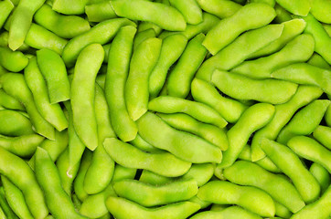 Wall Mural - Edamame, green soybeans in the pod, background. Unripe soya beans, also Maodou. Glycine max, a legume, edible after cooking and a rich protein source. Closeup, macro food photo.